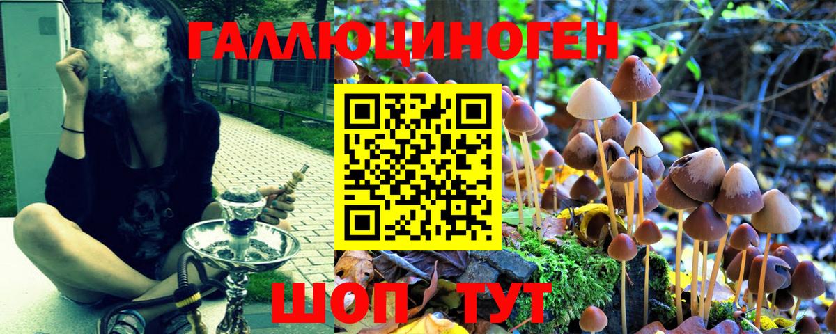 Псилоцибиновые грибы мухоморы  Вход с VPN  Вятские Поляны 